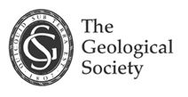Advances in Geological/Geotechnical Data Handling & Modelling