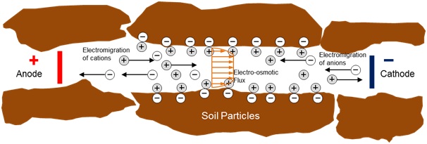 5.ion trnas