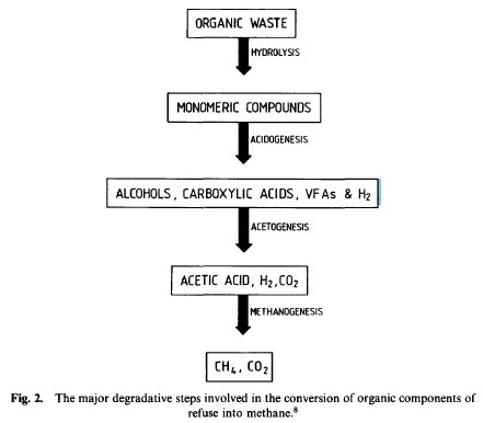 Figure 2: Overview of Anaerobic Reaction