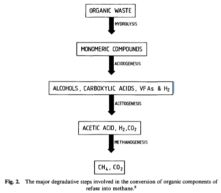 Figure 2: Overview of Anaerobic Reaction Figure 2: Overview of Anaerobic Reaction
