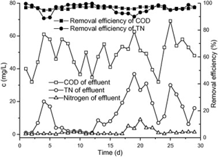 Figure 4.8: Removal Efficiency and Effluent Characteristics Figure 4.8: Removal Efficiency and Effluent Characteristics