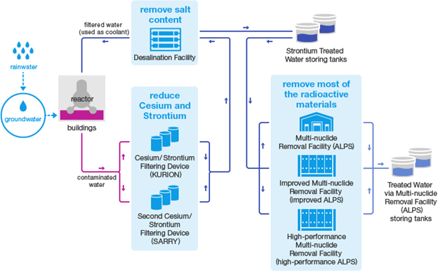 Radionuclide Effects and Remediation Tactics: Chernobyl and Fukushima ...